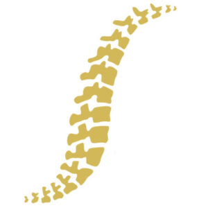Dr. Steve Sherwin holistic chiropractic therapy spine illustration Santa Barbara